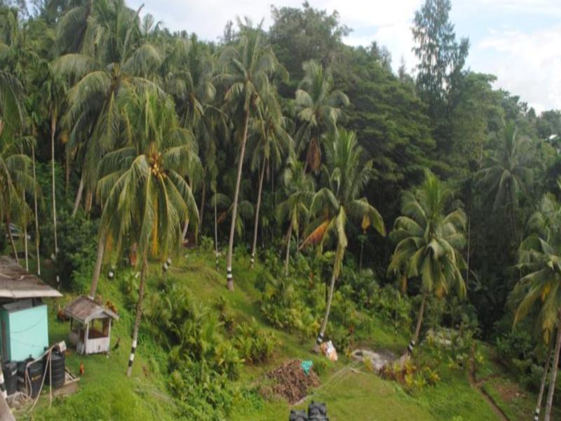 Andaman Galley Boutique Hotel Порт Блеър Екстериор снимка